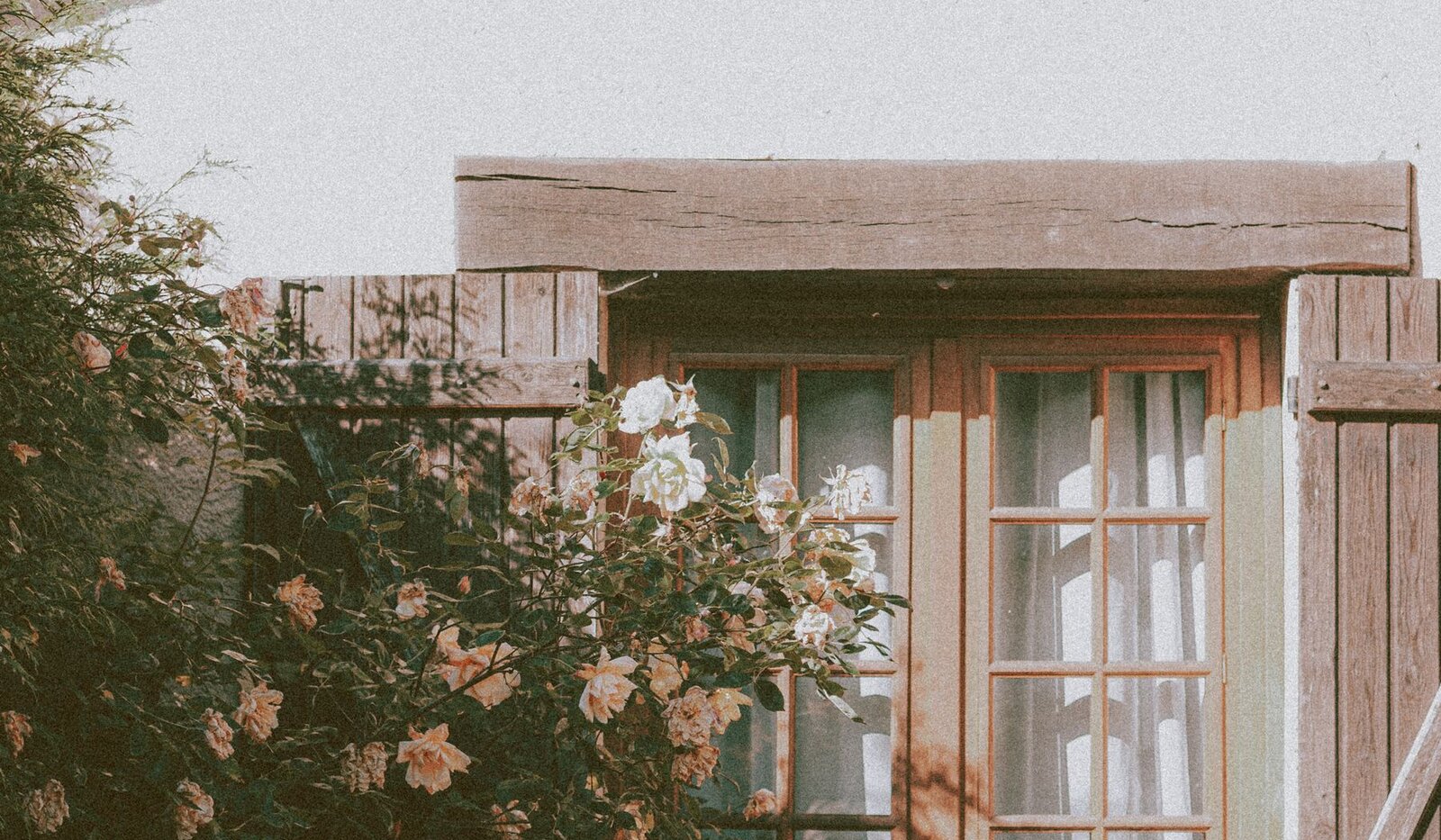 A traditional house with timber shutters and climbing roses around a window